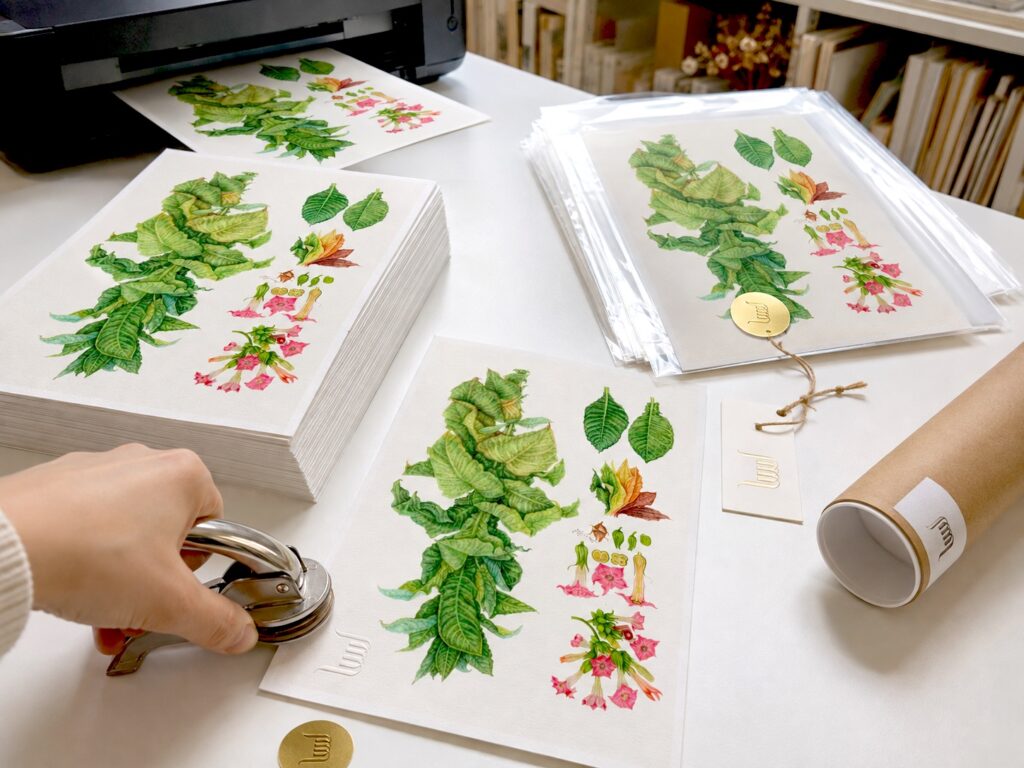 Limitált giclée nyomat hitelességi tanúsítvánnyal – MannaBotanica
